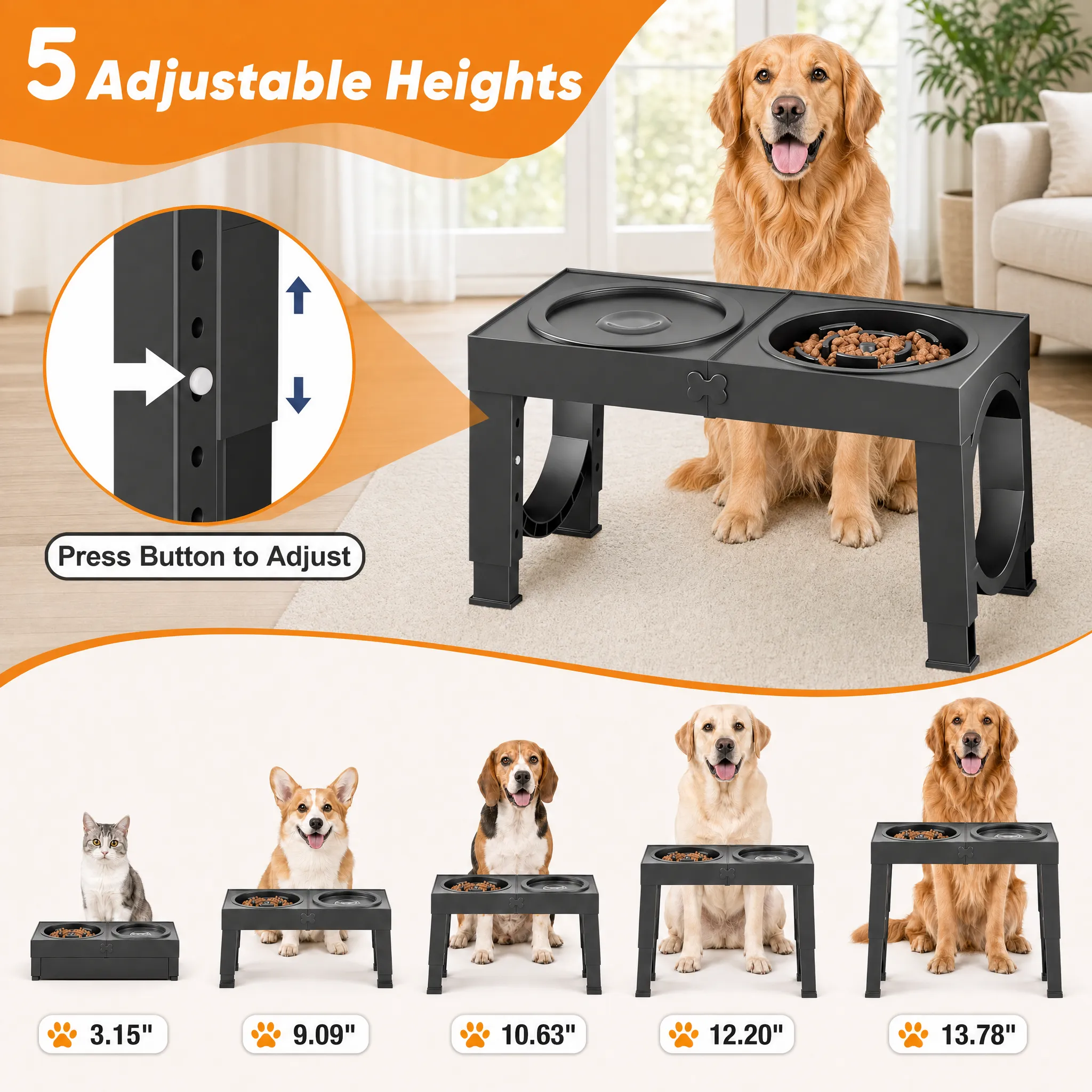 Diagram showing 5 height levels with dog silhouette